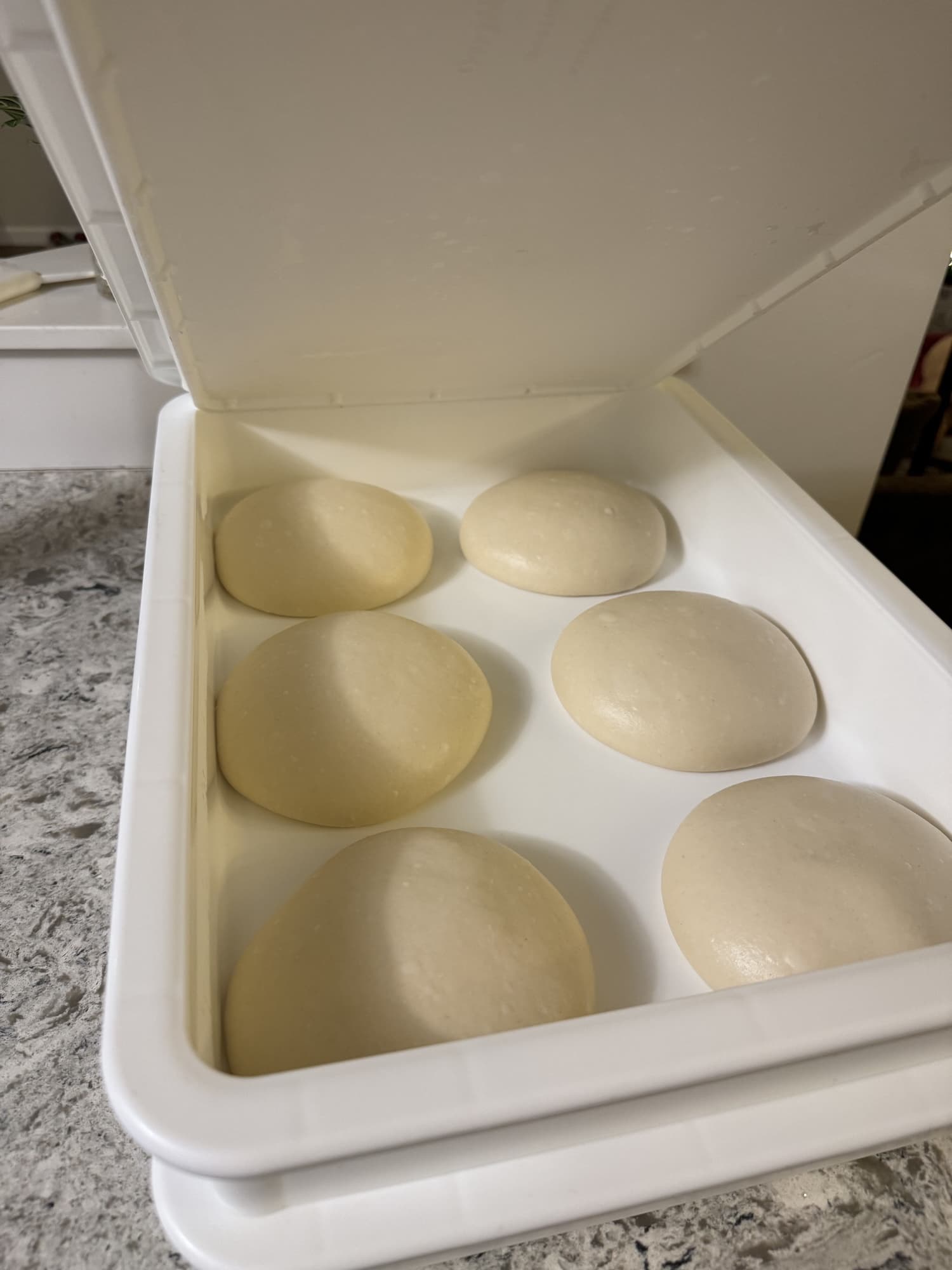 Pizza dough balls proofing
