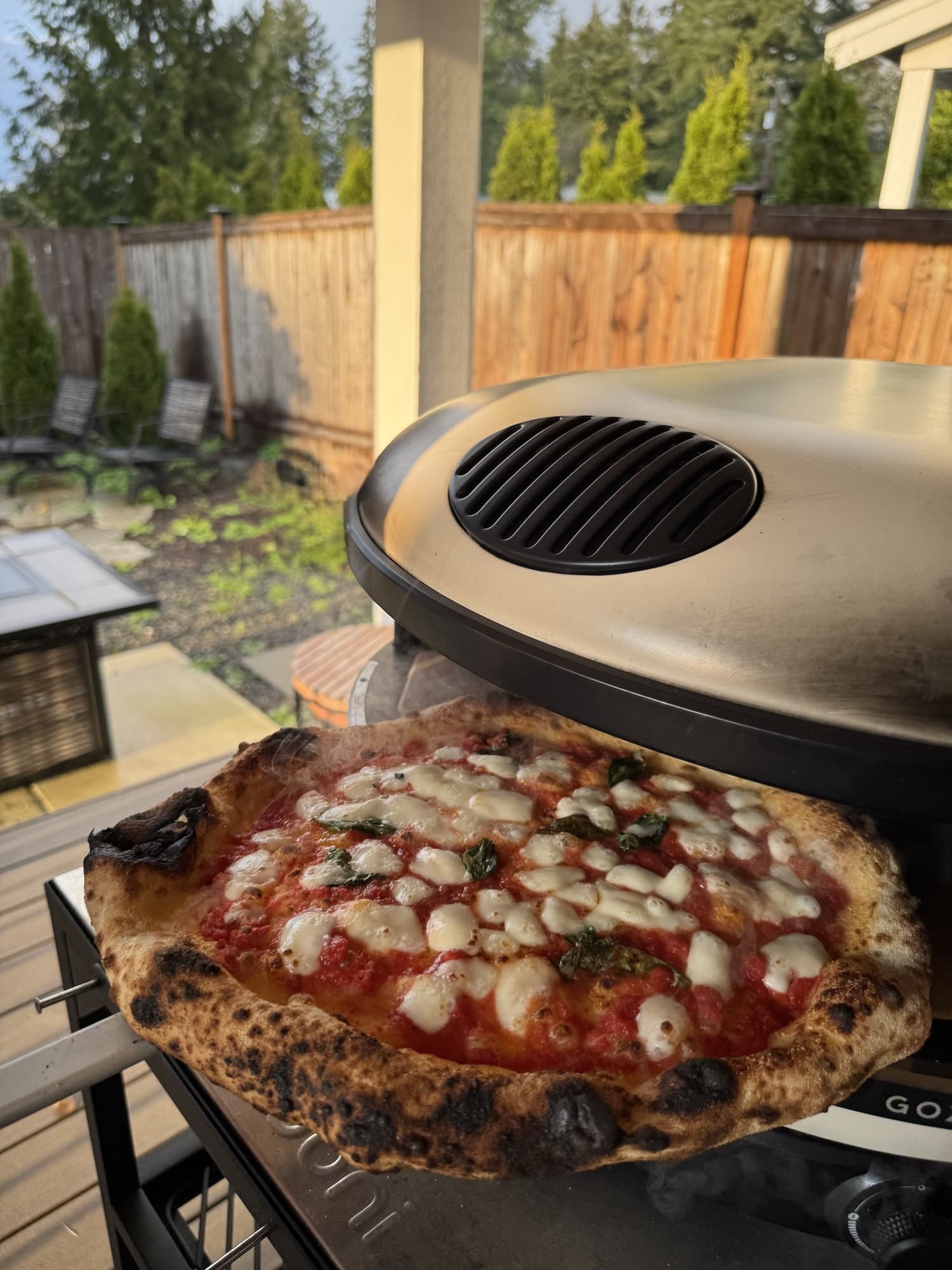 Gozney Arc XL pizza oven